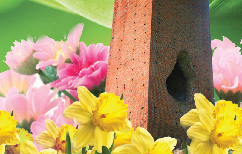 San Salvatore diventa un 